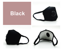 Load image into Gallery viewer, Premium KF 94 Reusable Mask KF94 / 5 filters / Made in Korea | Seoulpapa