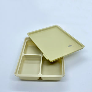 TGM Silicone Multi Cube with Lid (2PCS)